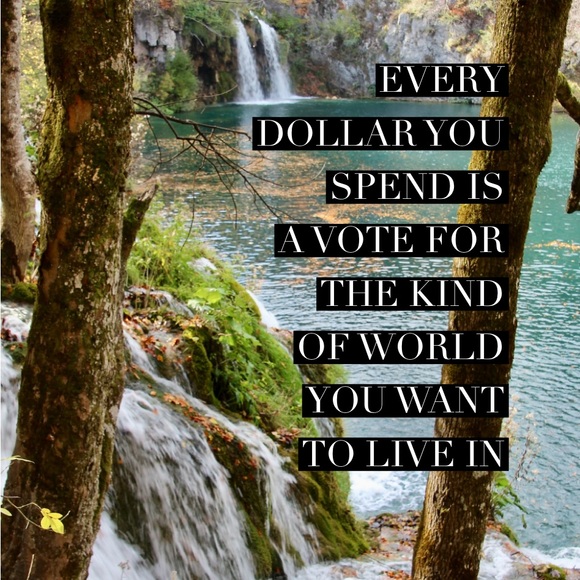 Smoke Free, Dog Friendly Closet - Picture 7 of 7